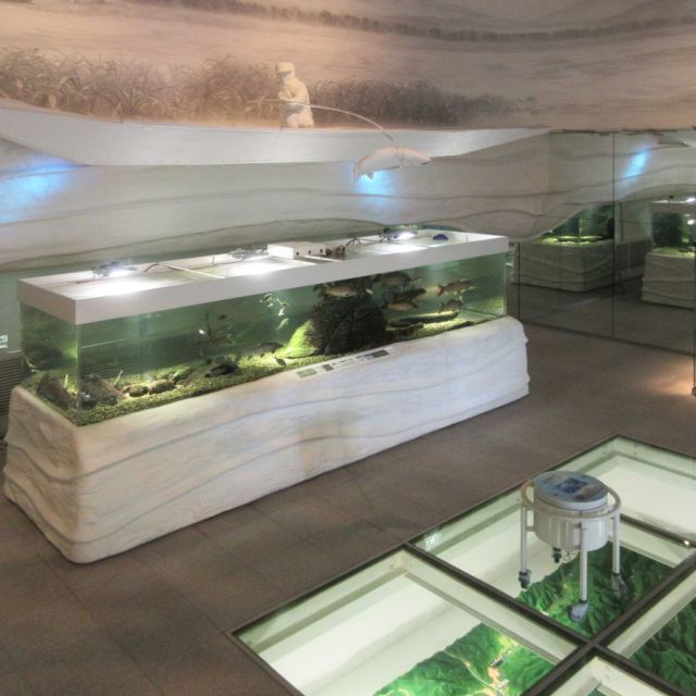 新潟県立環境と人間のふれあい館