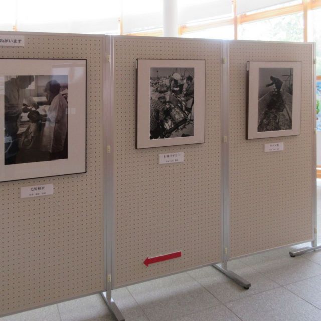新潟水俣病写真展