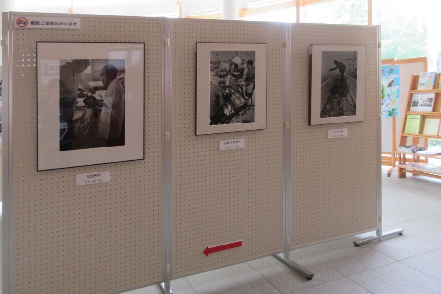 新潟水俣病写真展