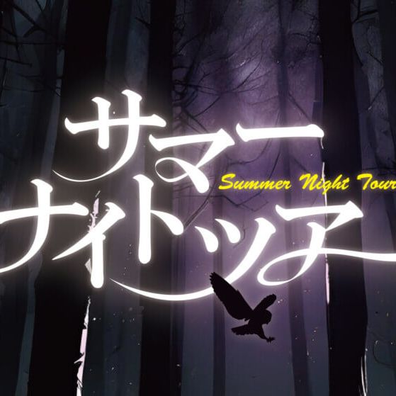【夏休み限定！】 サマーナイトツアー