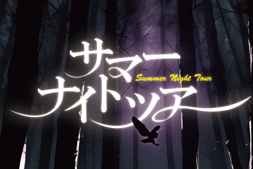 【夏休み限定！】 サマーナイトツアー