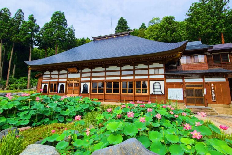 宝泉寺二千年蓮