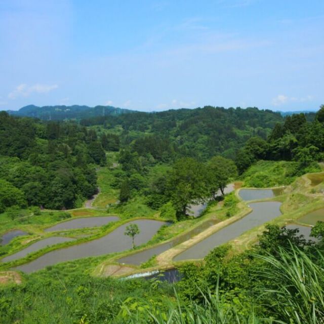 越後松代棚田群 蒲生の棚田