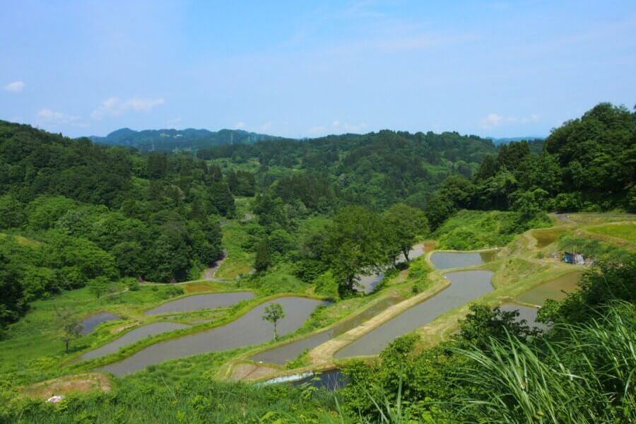 越後松代棚田群 蒲生の棚田