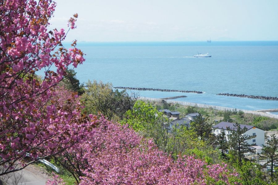 諸上寺公園