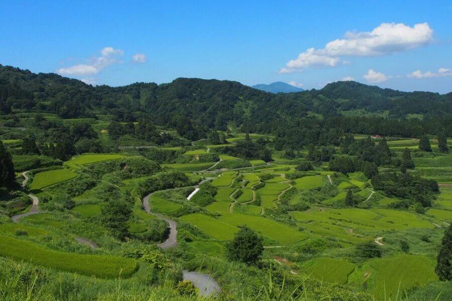 越後松代棚田群 星峠の棚田