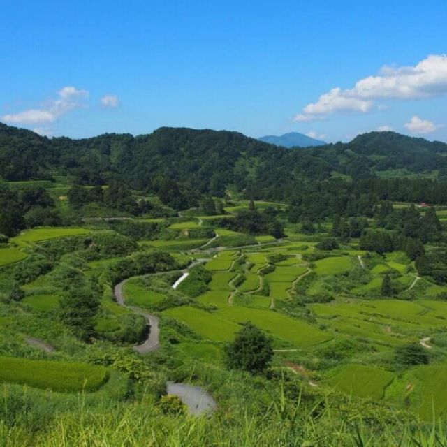 越後松代棚田群 星峠の棚田