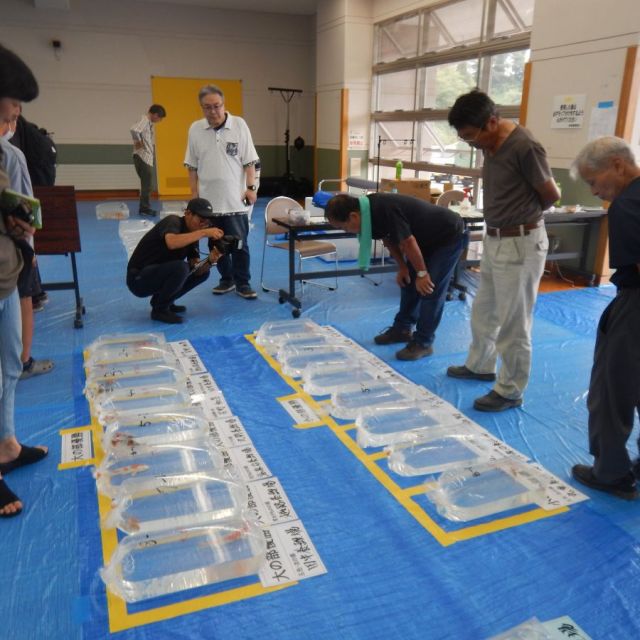 第17回 田上がり品評会