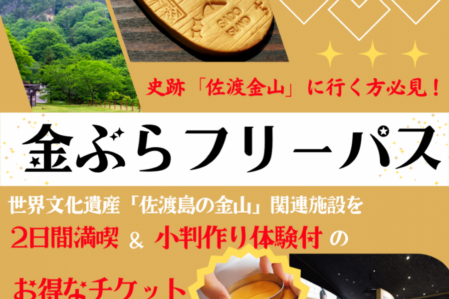 （WEBチケット）サドベンチャー限定！世界遺産関連施設をお得にまわる＆小判作り体験付き 「金ぶらフリーパス」