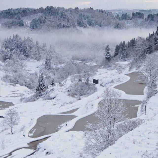 越後松代棚田群 蒲生の棚田