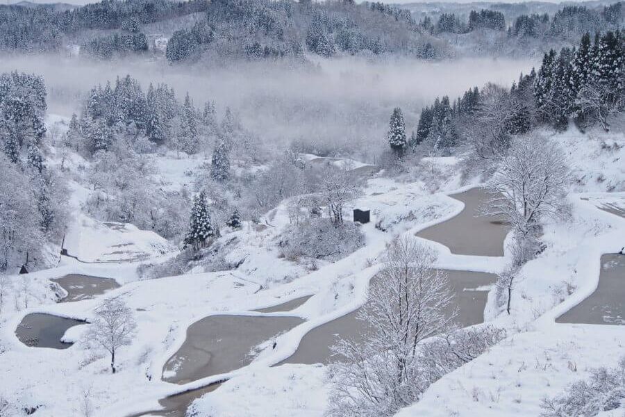 越後松代棚田群 蒲生の棚田