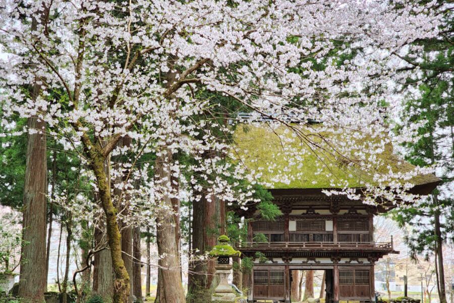 神宮寺観音堂･山門