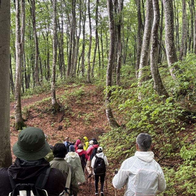 森林セラピーウォーキングin津南町