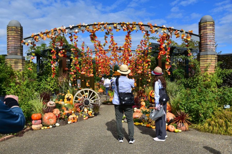 ハロウイン