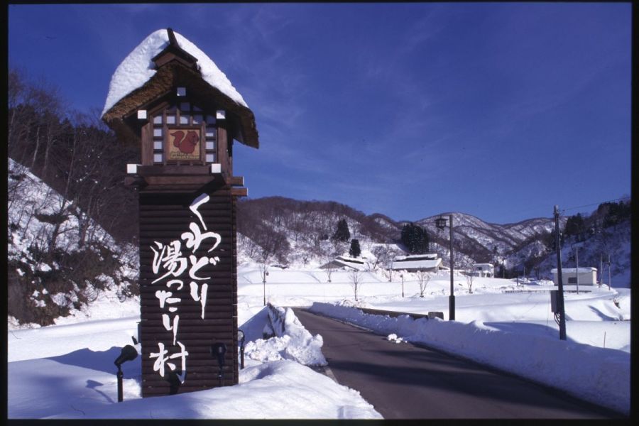 冬