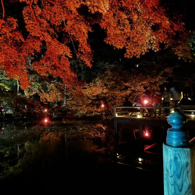 加茂山公園紅葉ライトアップ