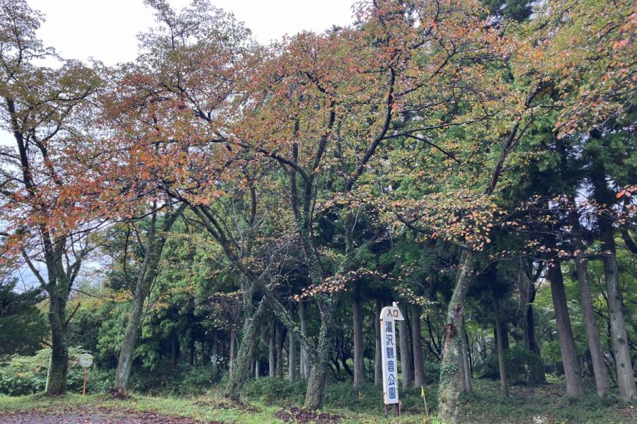 2025/10/22　少し色づき始めた様子です②