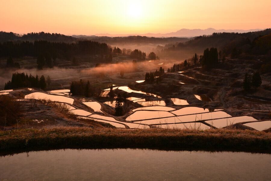 越後松代棚田群 星峠の棚田