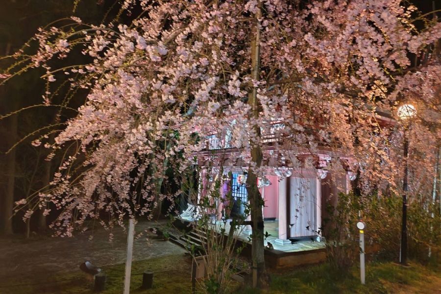 日蓮宗本山村田  法王山 妙法寺