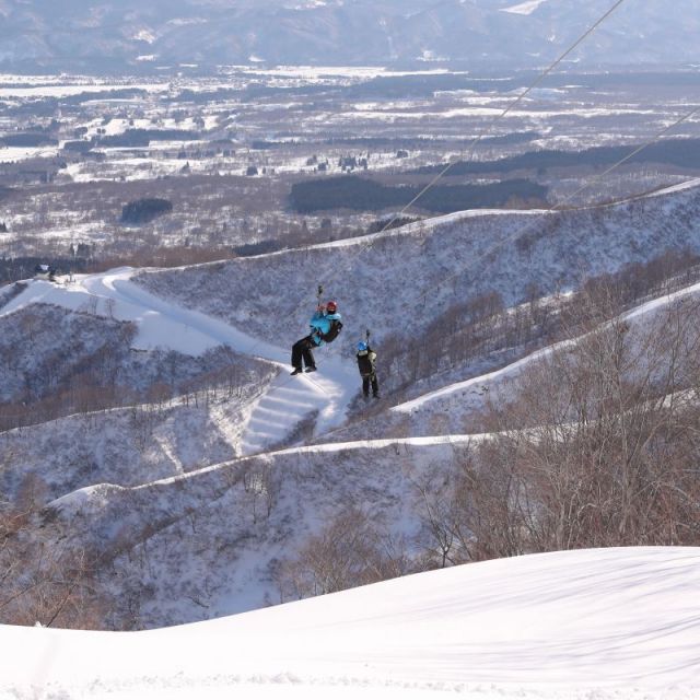 ジップツアー／アライマウンテンリゾート