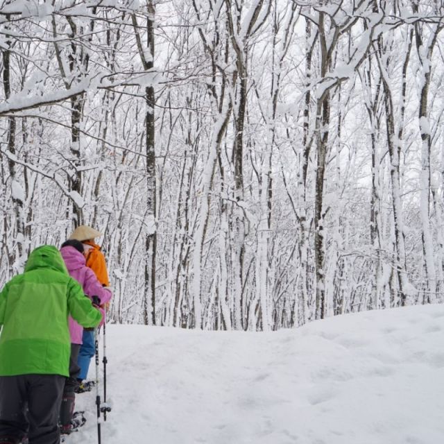 美人林スノーシューと囲炉裏体験