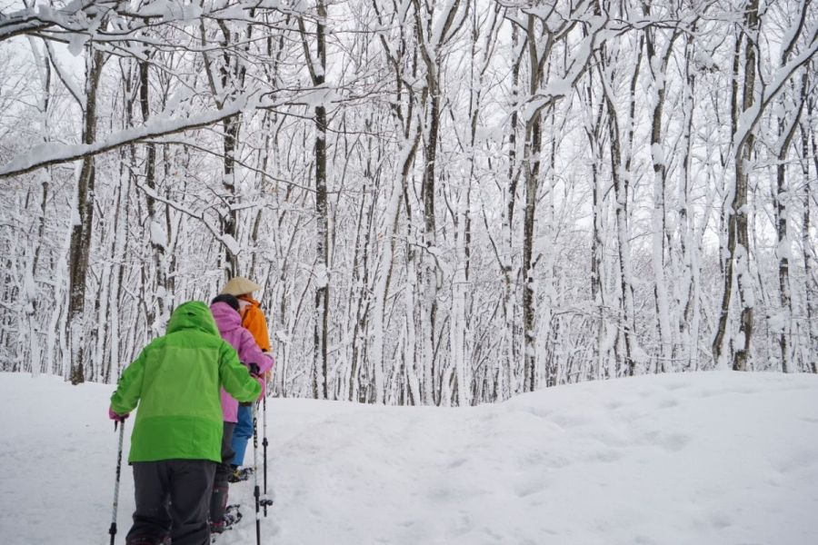 美人林スノーシューと囲炉裏体験