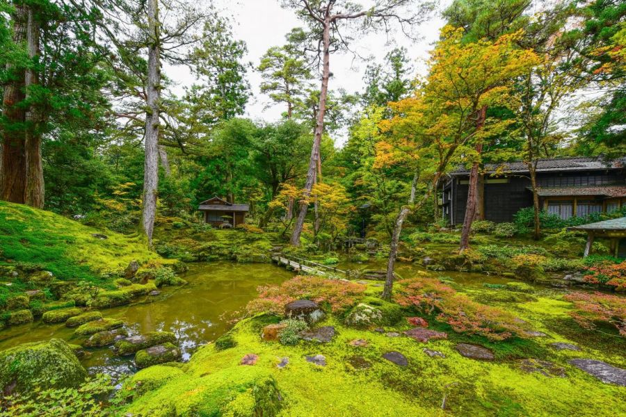 柏崎2つの庭園めぐりとじょんのび温泉バスツアー