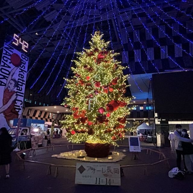 Aollumination2025-2026