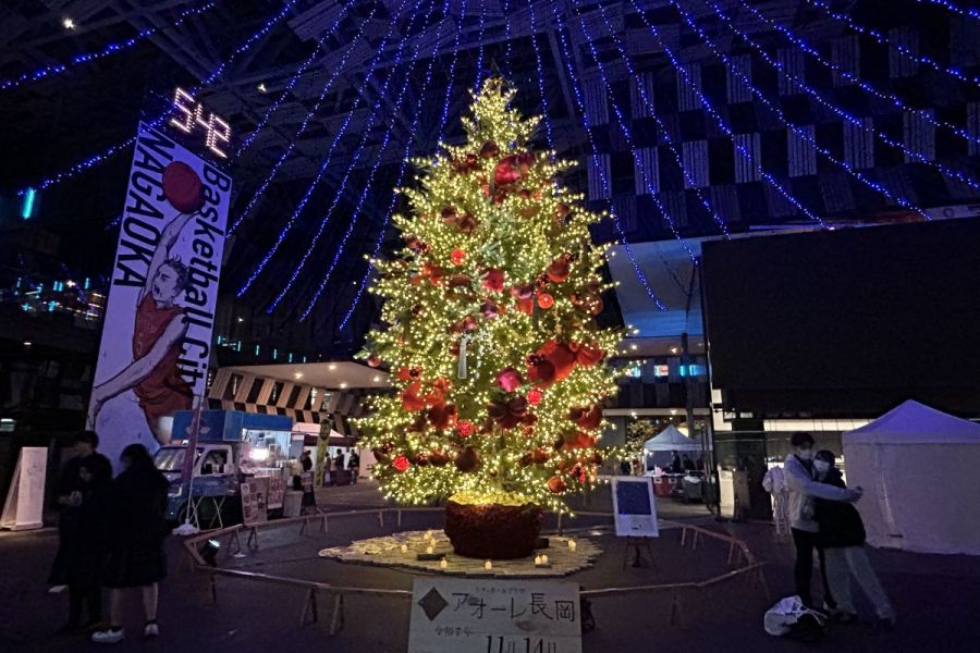 Aollumination2025-2026