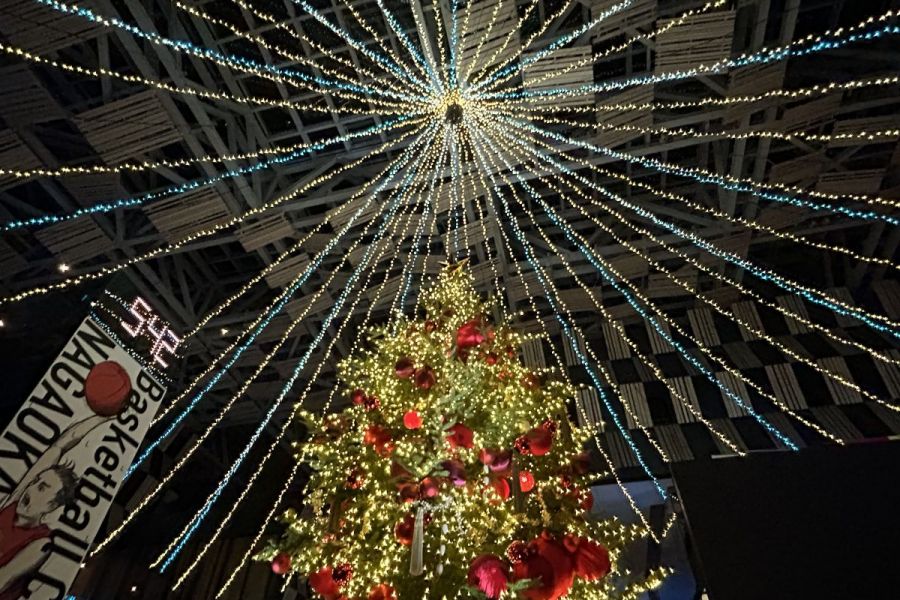 アオルミネーション