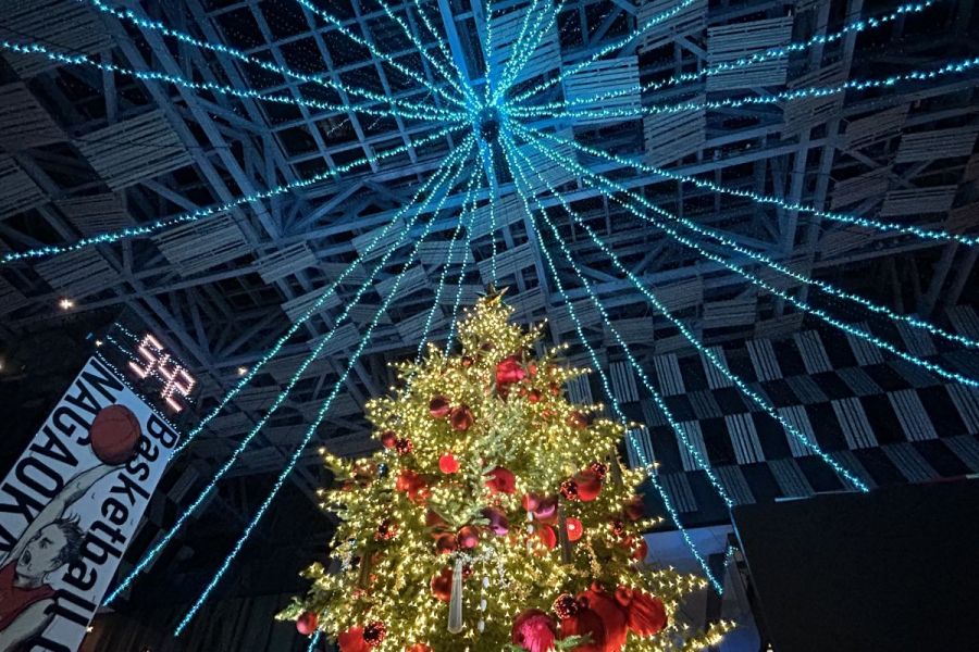 アオルミネーション