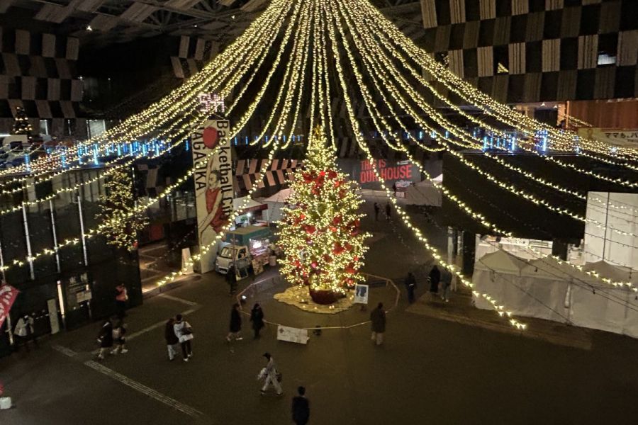 アオルミネーション