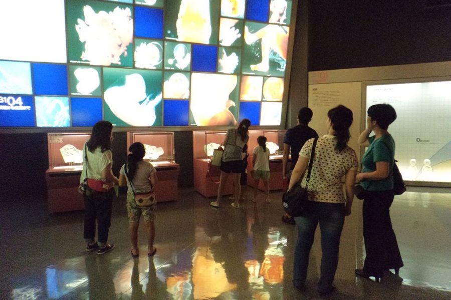 Bゾーン  生命のふしぎ　「受精から出産まで」