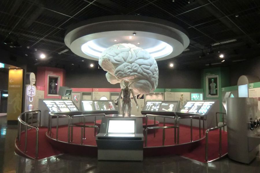 Cゾーン    からだのしくみ　「脳はからだのコントロールセンター」　　