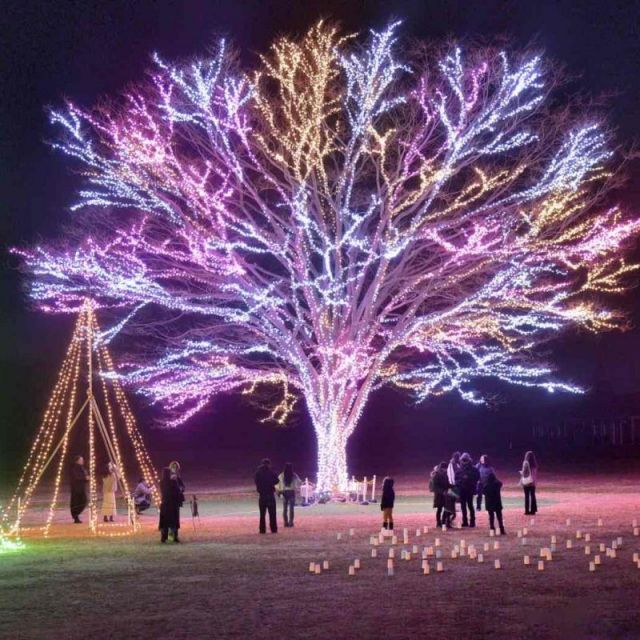 国営越後丘陵公園「Xmasイルミネーション」
