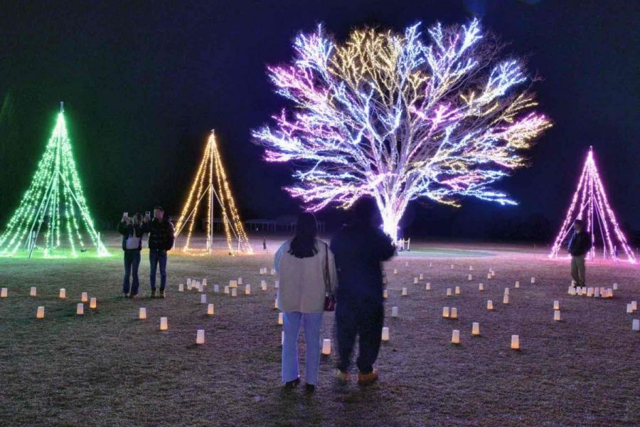 クリスマスイルミネーション