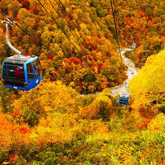 苗場ドラゴンドラ