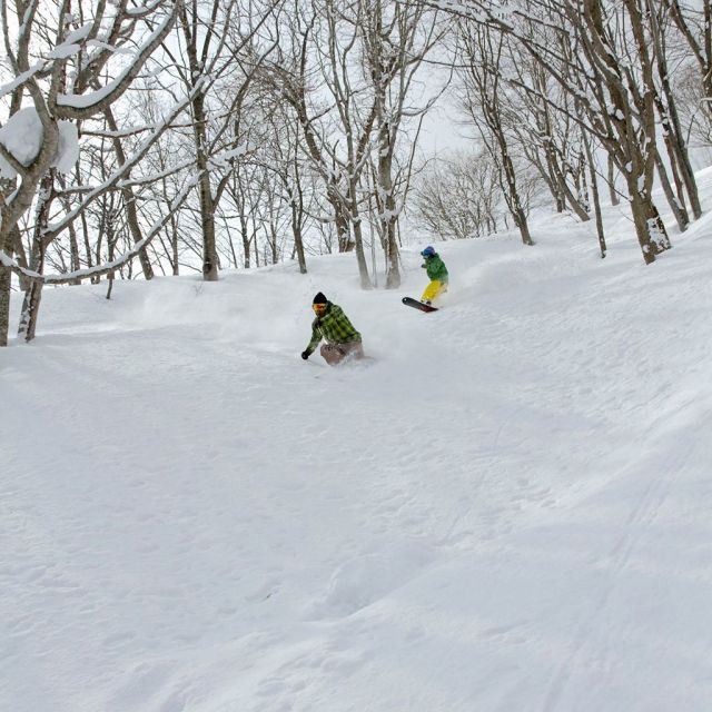 キューピットバレイスキー場