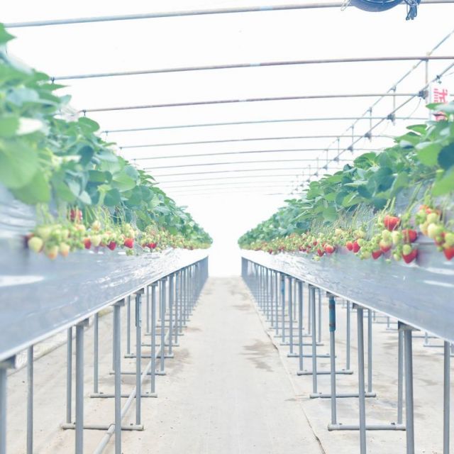 長岡東山ふるさと体験農園