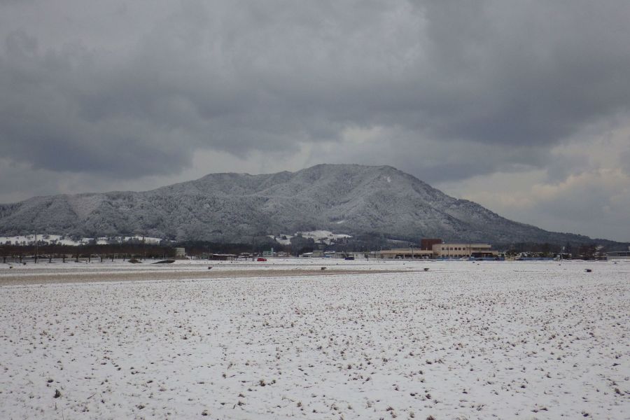 雪に覆われる冬の角田山