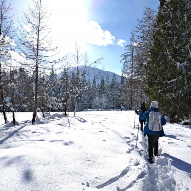 妙高高原スノーシューツアー