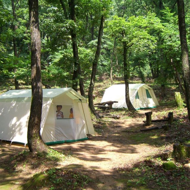 どんぐりの森 キャンプ場
