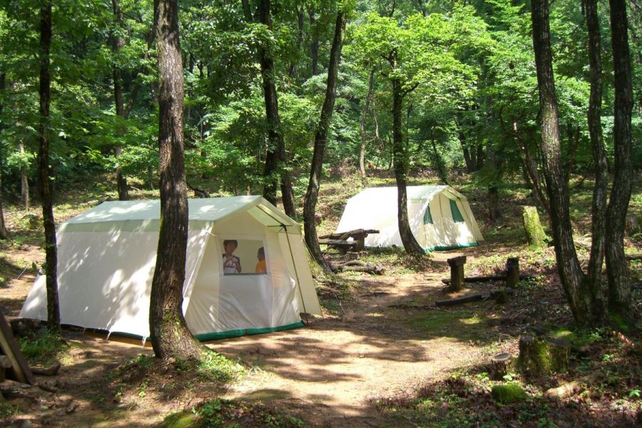 どんぐりの森 キャンプ場