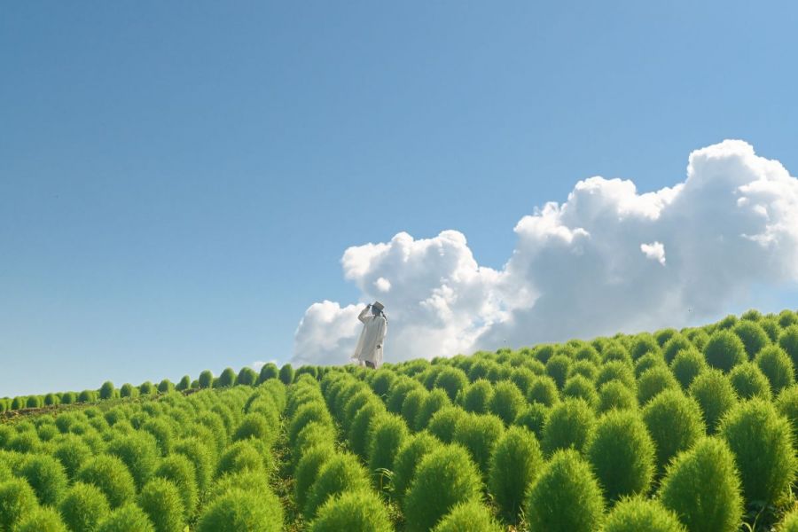 スキーだけじゃない！ 夏も楽しい湯沢高原