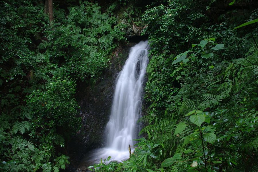 五りん石登山口で見られる五りんの滝