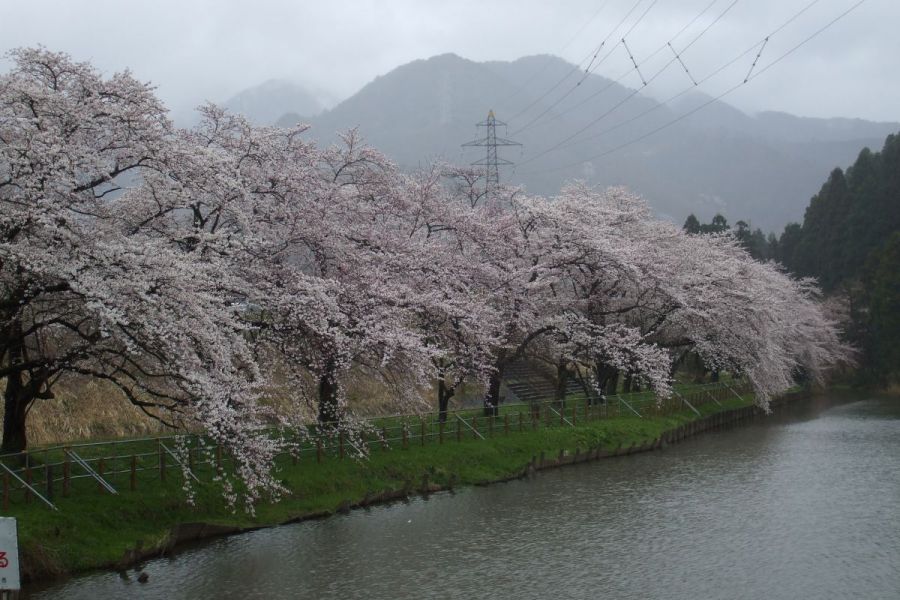 久保山水きん公園