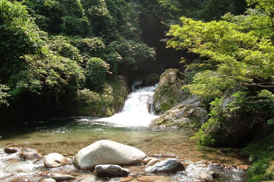 魚止めの滝