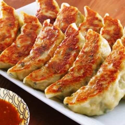 全日本ぎょうざ祭り in 新潟