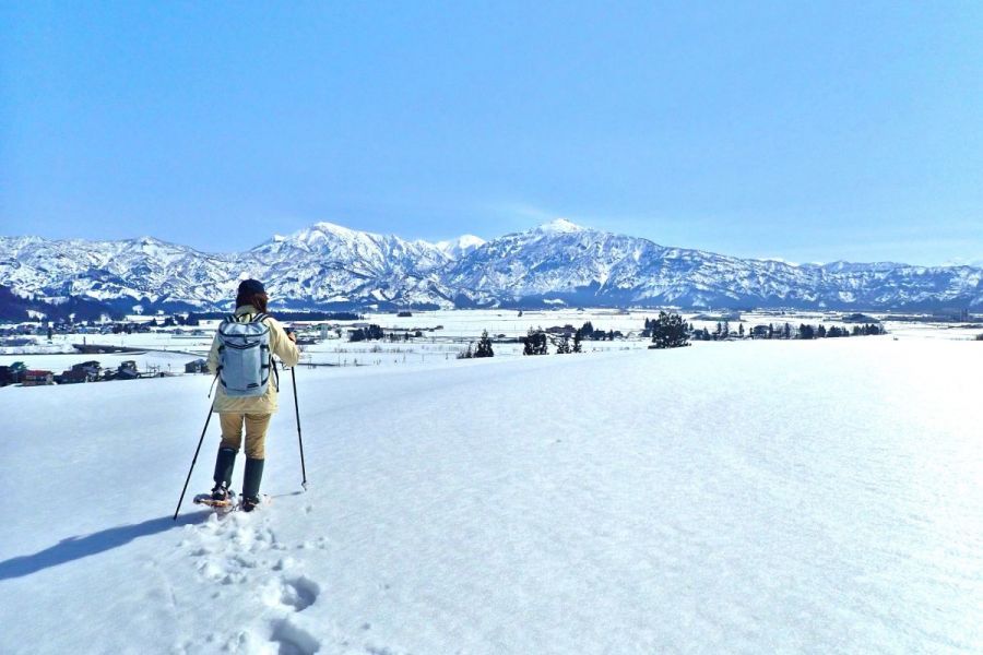 新感覚！エアスノーシューで雪原＆低山トレッキング 浦佐の「フットパス」で冬を満喫ツアー