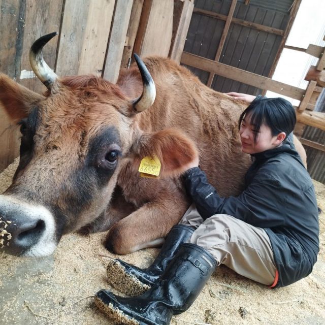 【春休み限定】親子にオススメ！森の中の小さな牧場　動物ふれあい体験
